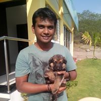 Sandesh Ghate-Freelancer in Chennai,India