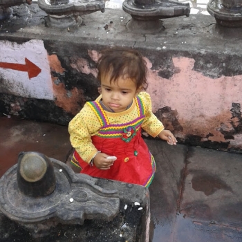 Parmesh Sharma-Freelancer in Chandausi,India