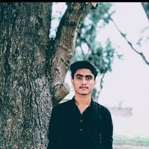 Adil Khan-Freelancer in Lucknow,India
