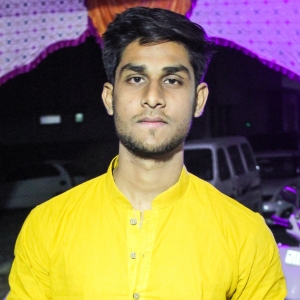 Lucky Patel-Freelancer in IDAR,India