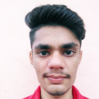 Sachin Saini-Freelancer in Panipat,India
