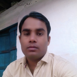 Danveer Joshi-Freelancer in Balod,India