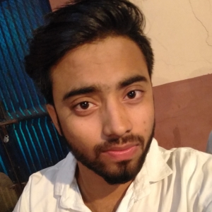 Prince Gupta-Freelancer in bahadurgarh,India
