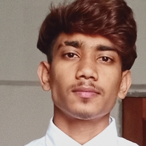 Mahin Uddin-Freelancer in ,India