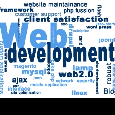 Web Developer-Freelancer in Ahmedabad,India