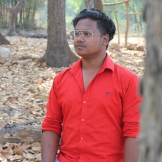 Sanjay Nayak-Freelancer in Patna,India