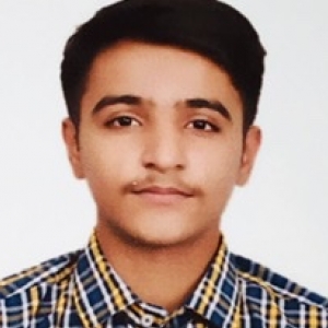 Satyam Kaushik-Freelancer in Noida,India