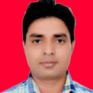 Daleshwer Baghel-Freelancer in Palwal,India