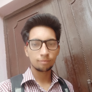 Pawan Tyagi-Freelancer in Hapur,India