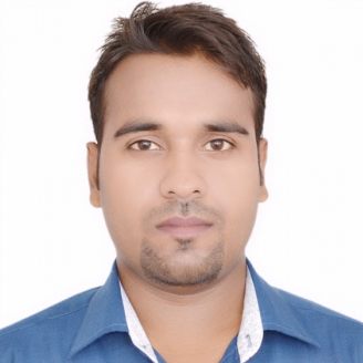 Vijay Pal-Freelancer in Noida,India