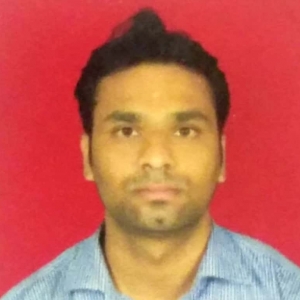Bhushan Boralkar-Freelancer in pune,India