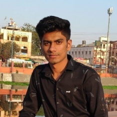 Shivam Thakur-Freelancer in saket nagar, bhopal, madhya pradesh,India
