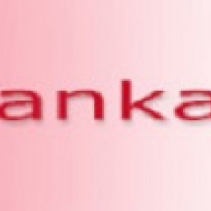 Anka Software-Freelancer in Bengaluru,India