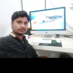 Sagar Chavan-Freelancer in Auranagabad,India