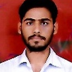 Md Rustam Ali-Freelancer in ,India