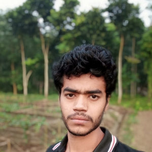 Avijit Halder-Freelancer in ,India