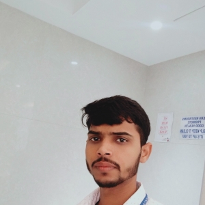 Ram Kumar-Freelancer in Noida,India