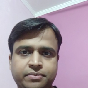Santosh Kumar-Freelancer in ,India