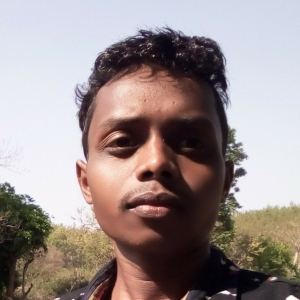Duleshwar Singh-Freelancer in Ambikapur,India