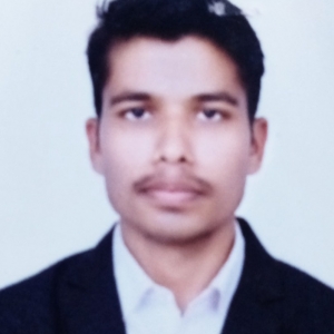 Akash Pal-Freelancer in Warora Maharashtra,India