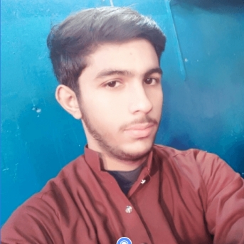 Hamza Baig-Freelancer in Lahore,Pakistan
