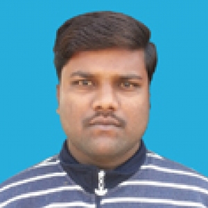 Bikash Sahani-Freelancer in Haora,India