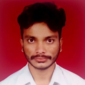 Pradip Bhoskar-Freelancer in Chandrapur,India