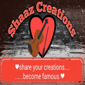 Shaaz Creations-Freelancer in Jaipur,India