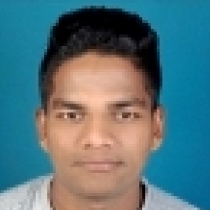 Honey Kai-Freelancer in ,India