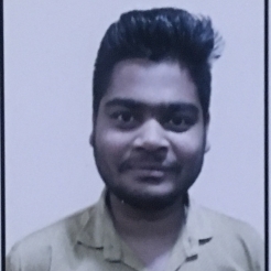 Mohit Teji-Freelancer in Udaipur,India