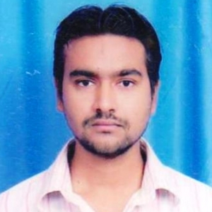 Sanjay Yadav-Freelancer in Delhi,India