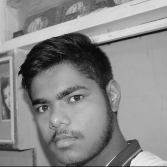 Ayush Sharma-Freelancer in ,India