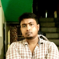 Ansuman Roy-Freelancer in Kolkata,India