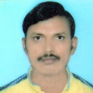 Mir Md Ghulam Quadir-Freelancer in Ghaziabad,India