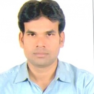 Alok Kumar-Freelancer in Patna,India