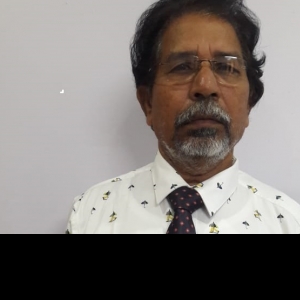 Punuri Solomon Raju-Freelancer in Andhra Pradesh, West Godavari, Palakol - 534260,India