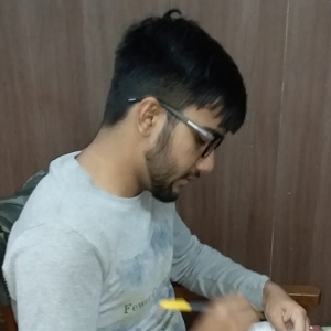 Yogesh Kumar-Freelancer in Delhi,India