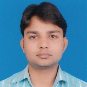 Manoj Kumar Soni-Freelancer in New Delhi,India
