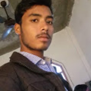 Mateen Ansari-Freelancer in Mancheral,India