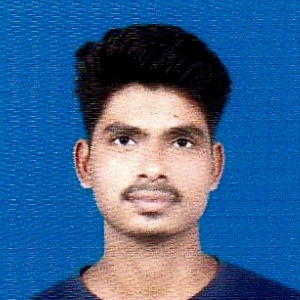 Ranjit Biswal-Freelancer in ,India