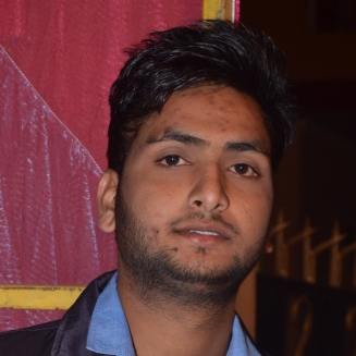 Vivek Kumar-Freelancer in Ludhiana,India