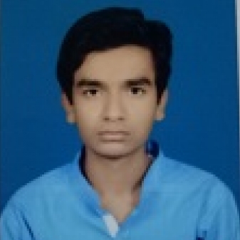 Md Tarique Hassan-Freelancer in Patna,India