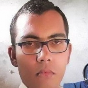 Rajesh Chauhan-Freelancer in ,India