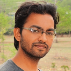 Sumit Chandurkar-Freelancer in ,India