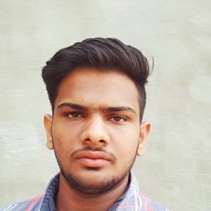 Rahul Sain-Freelancer in Sardarpura,India