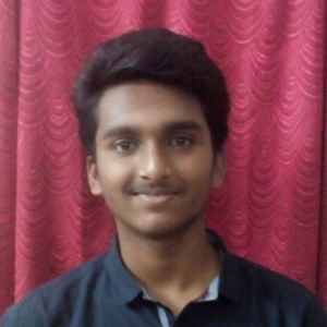 Sriram Balasubramanian-Freelancer in ,India