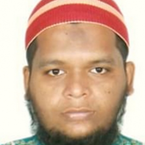 Hossain Ahmed Alamin-Freelancer in Narayanganj,Bangladesh