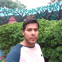Md Irfanul Haque-Freelancer in Patna,India