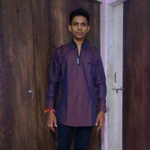 Pankaj Patel-Freelancer in Gandhinagar,India