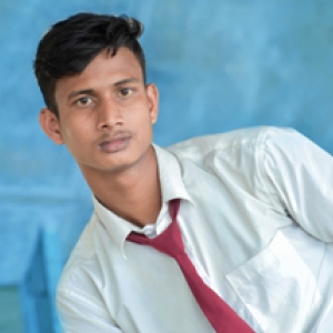 Ashraful Hoque-Freelancer in ,India
